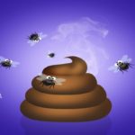 cleaning poop dream meaning